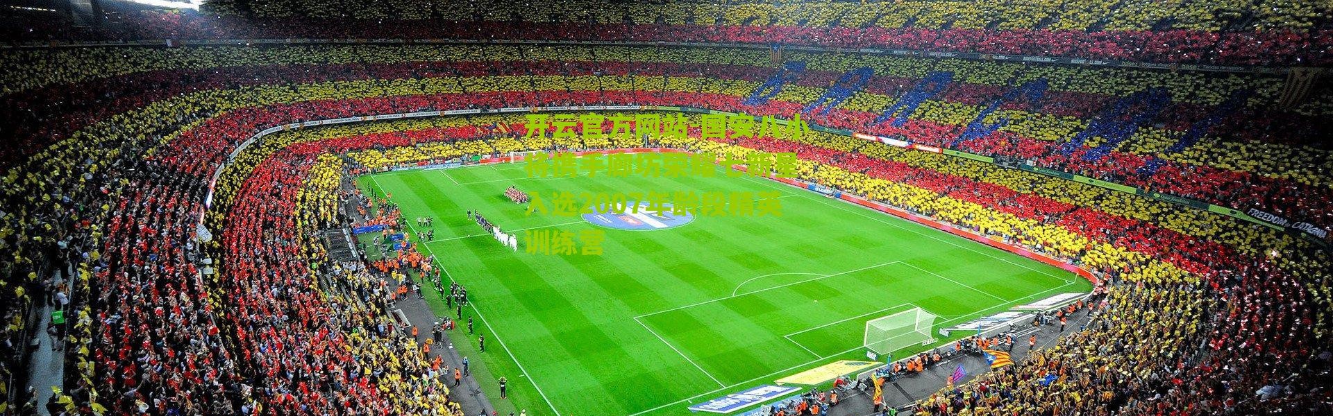 开云官方网站-国安八小将携手廊坊荣耀七新星 入选2007年龄段精英训练营