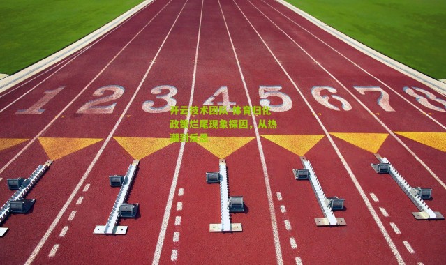 开云技术团队-体育归化政策烂尾现象探因，从热潮到反思